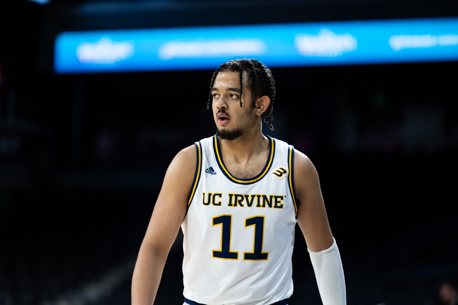 Road Closed: Anteaters Advance Behind Defense