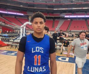 10 Stockrising Prospects From Section 7